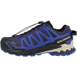 Salomon SHOES XA PRO 3D V9 GTX 