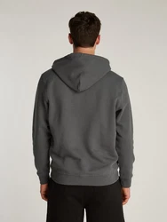 Tommy Jeans Hoodie TJM REG LINEAR LOGO HOODIE EXT Dunkelgrau/Grau/Dunkelgrün