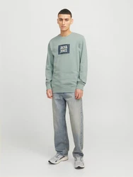 JACK & JONES Sweatshirt JJHUDSON Grün/Hellblau/Dunkelgrün