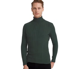 D'S DAMAT Polokragenpullover Slim Fit Rollkragenpullover Dunkelgrün/Grün