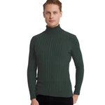 D'S DAMAT Polokragenpullover Slim Fit Rollkragenpullover Dunkelgrün/Grün