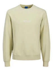 JACK & JONES Sweatshirt 'JORVesterbro' Hellgrün/Grün/Khaki