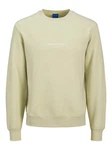 JACK & JONES Sweatshirt 'JORVesterbro' Hellgrün/Grün/Khaki