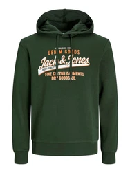 Jack & Jones Sweatshirt JJELOGO SWEAT HOOD 2 COL 24/25 NOOS Dunkelgrün/Grün