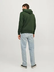 Jack & Jones Sweatshirt JJELOGO SWEAT HOOD 2 COL 24/25 NOOS Dunkelgrün/Grün