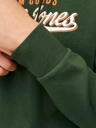 Jack & Jones Sweatshirt JJELOGO SWEAT HOOD 2 COL 24/25 NOOS Dunkelgrün/Grün