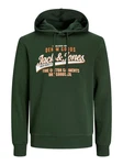 Jack & Jones Sweatshirt JJELOGO SWEAT HOOD 2 COL 24/25 NOOS Dunkelgrün/Grün