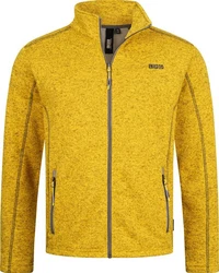 DEPROC Active Fleecejacke YORKTON II CS MEN Grün