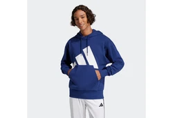 adidas Sportswear Kapuzensweatshirt Essentials Blau/Dunkelblau/Hellblau
