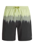 Protest Badeshorts Prtcagnes Beachshort Herren Grün/Dunkelgrün/Grau/Creme/Gelb/Neonfarben