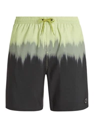 Protest Badeshorts Prtcagnes Beachshort Herren Grün/Dunkelgrün/Grau/Creme/Gelb/Neonfarben