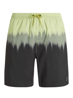 Protest Badeshorts Prtcagnes Beachshort Herren