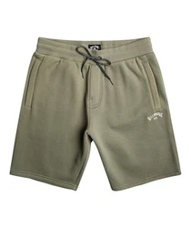 Billabong Shorts Dunkelgrün/Khaki/Grün