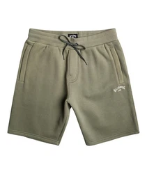 Billabong Shorts Dunkelgrün/Khaki/Grün