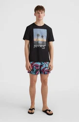 O'Neill Kurzarmshirt Loren T-shirt Herren Schwarz/Beige