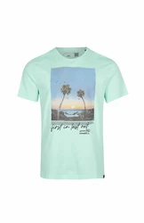 O'Neill Kurzarmshirt Loren T-shirt Herren Grün/Hellgrün