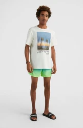 O'Neill Kurzarmshirt Loren T-shirt Herren Weiß/Creme/Beige/Hellblau