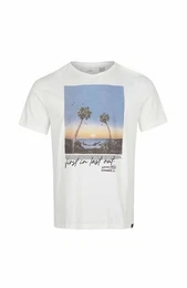 Kurzarmshirt Oneill M Loren T-shirt Herren Kurzarm-Shirt
