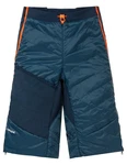 VAUDE Herren Shorts Sesvenna Dunkelblau/Hellblau
