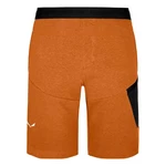 Salewa Lavaredo Hemp Train Shorts Herren Orange