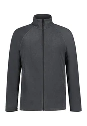 Icepeak Fleecejacke PUTLITZ 