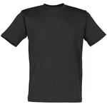 James & Nicholson Rundhalsshirt Basic T-Shirt Schwarz/Dunkelgrau/Grau