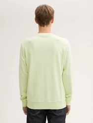 TOM TAILOR Sweatshirt mit Logo-Print Neonfarben/Hellgrün/Grün