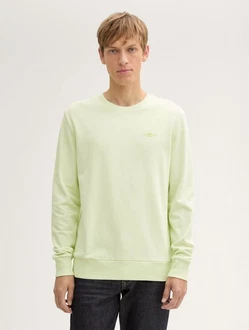 TOM TAILOR Sweatshirt mit Logo-Print Neonfarben/Hellgrün/Grün