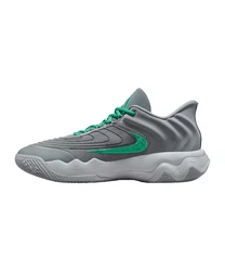 Nike Giannis Immortality 4 Schuh Grün/Grau/Türkis