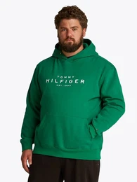Tommy Hilfiger Big & Tall Sweatshirt BT-TOMMY HILFIGER HOODY-B in Groen Gren, Logostickerei