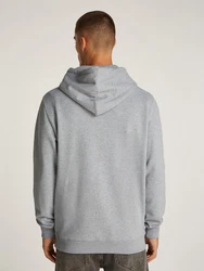 Tommy Jeans Sweatshirt TJM REG ENTRY GRAPHIC HOODIE EXT mit Logo Hellgrau/Grau/Dunkelgrau