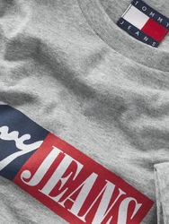 Tommy Jeans T-Shirt Grau/Dunkelblau/Hellblau