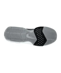 Nike LeBron Witness 8 Hallenschuh Grau/Hellgrau