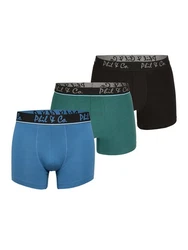 Phil & Co. Retro Pants Jersey Core Unterhose enger Schnitt 5-Piece-Cut Blau