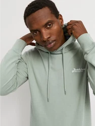 JACK & JONES Sweatshirt 'JJBEAU' Grün/Hellgrün/Dunkelgrün