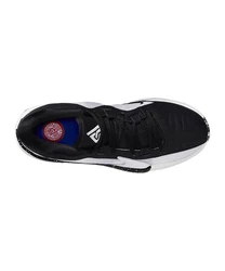 Nike Freak Basketball Hallenschuh Silber/Grau/Dunkelgrau/Schwarz