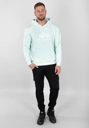 Alpha Industries Kapuzenpullover Basic Hoodie Herren Hellgrün/Grün/Hellblau