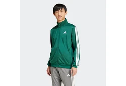 adidas Sportswear Outdoorjacke M 3S TR TT Grün/Dunkelgrün
