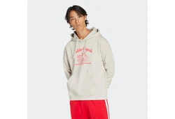 adidas Originals Hoodie WABASH Khaki/Grau/Rot/Hellgrau