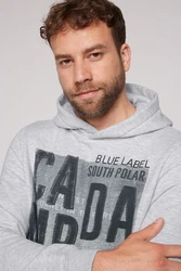 CAMP DAVID Kapuzensweatshirt Grau/Grün/Hellgrau/Silber