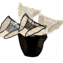 Slip 5 Stck sexy, hoher Schlitz, Spitzenunterhose, Damenhschen, (atmungsaktiver, mittelhoher Dreiecksunterhose)