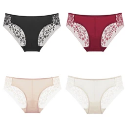 Slip 4 Stck Po-hebende, niedrig-taillierte, groe Gre (Damendreiecksunterhose, glatte, bestickte Spitzenunterhose)