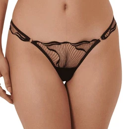 Slip 2 Stck sexy, erotische Unterhosen, bestickte Spitzenhschen, (Schrittbereich, niedrig-taillierte Dreiecksunterhose)
