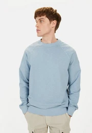 Sweatshirt aus reiner Baumwolle