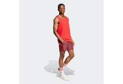 ADIDAS ORIGINALS Badeshorts 'ADIC' Dunkelrot/Bordeaux/Rot
