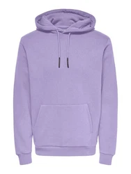 ONLY & SONS Sweatshirt ONSCERES HOODIE SWEAT 