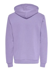 ONLY & SONS Sweatshirt ONSCERES HOODIE SWEAT 