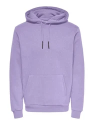 ONLY & SONS Sweatshirt ONSCERES HOODIE SWEAT 