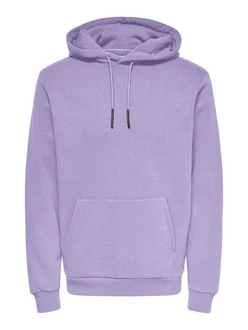 ONLY & SONS Sweatshirt ONSCERES HOODIE SWEAT 