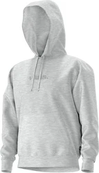 Vans Kapuzensweatshirt ESSENTIALFTRELAXEDPO Grau/Hellgrau/Silber